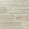 Msi Catalina Maple SAMPLE Polished Porcelain Floor And Wall Tile ZOR-PT-0396-SAM - alternate 1